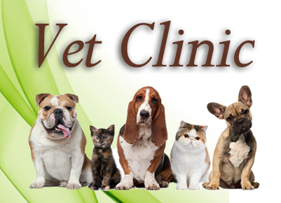 lost cost vet clinic