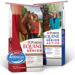 equine senior active