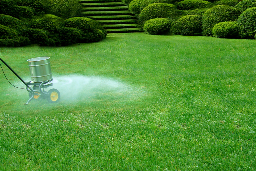When To Apply Pre Emergent to North Texas LawnsWells Brothers Pet, Lawn
