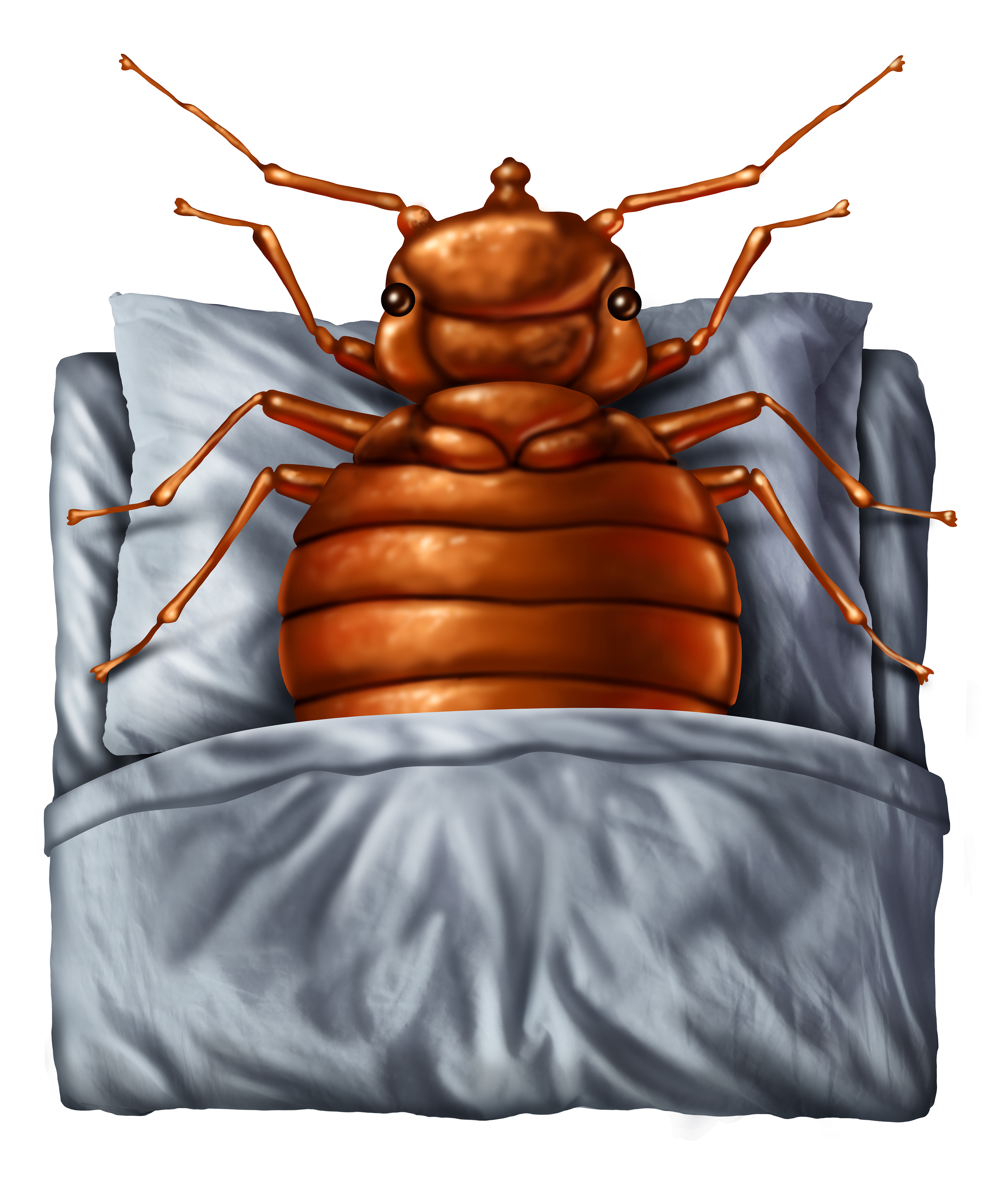 Keeping Bed Bugs At BayWells Brothers Pet, Lawn & Garden Supply