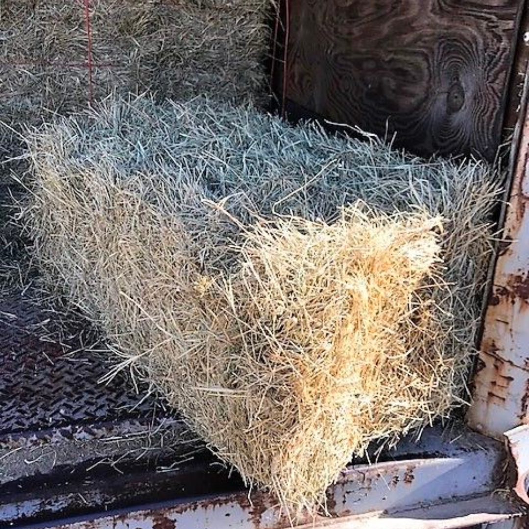 Hay vs. Straw - Cottin's Hardware