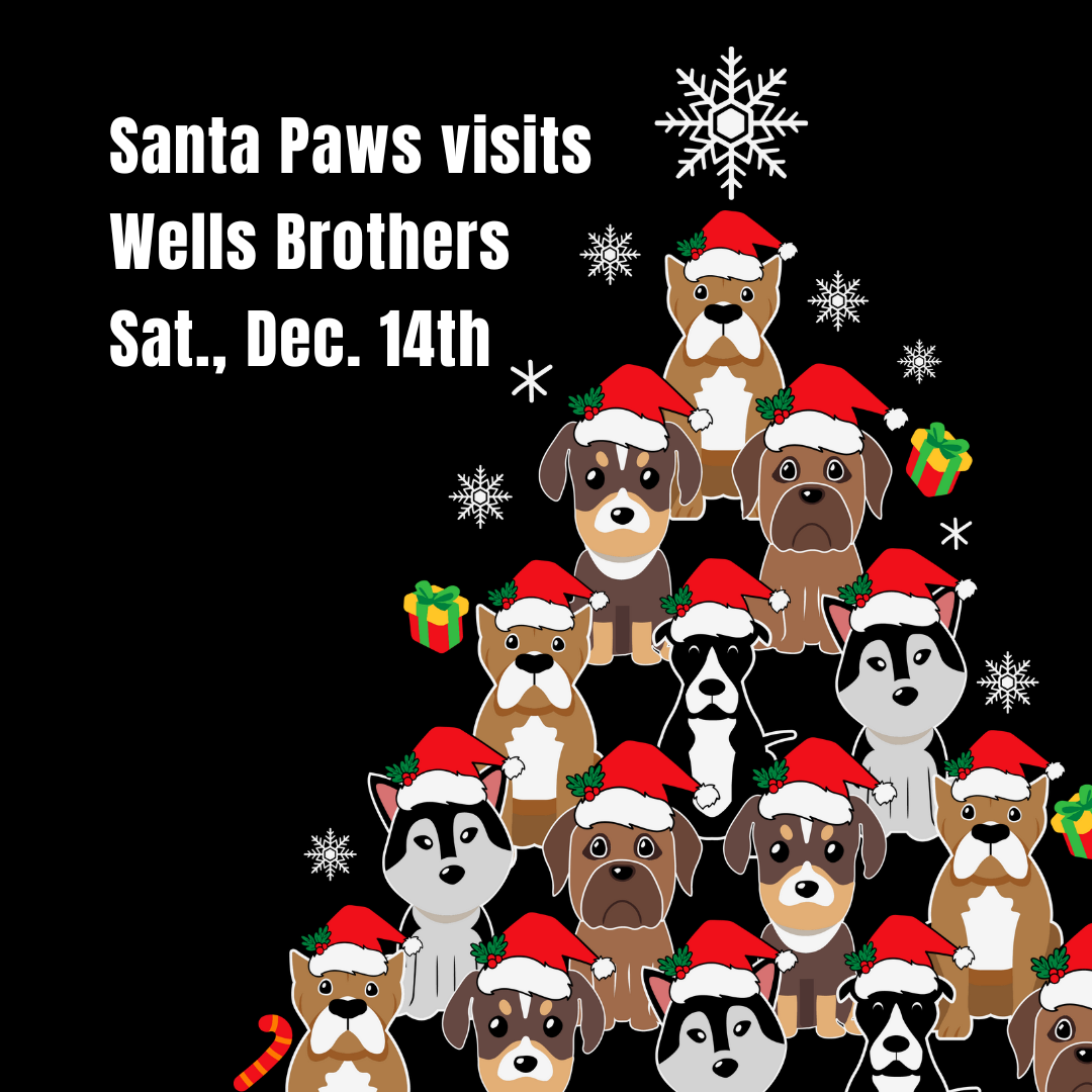 Santa Paws visits Wells Brothers in Plano, TX on Saturday, December 14th. Bring your pet by to visit with Santa Paws and take a photo.